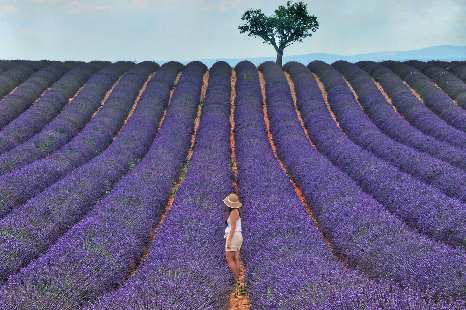 Warm Breeze and the Scent of Lavender – Why We Love Provence